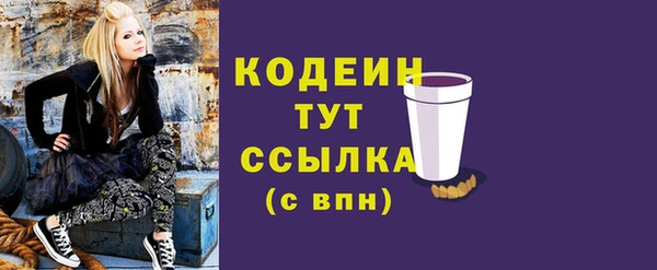 МДПВ Медвежьегорск