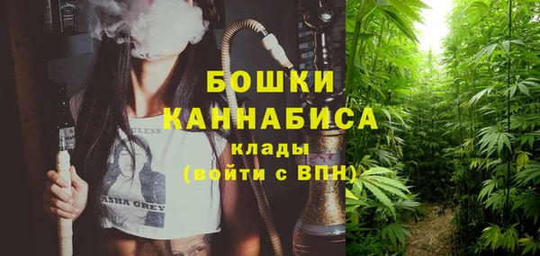 МДПВ Медвежьегорск