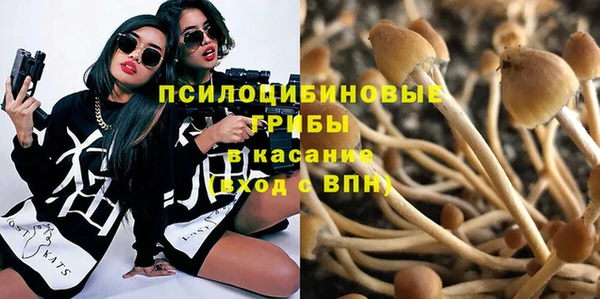 mix Медногорск