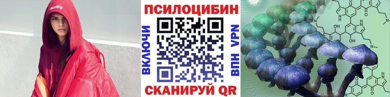 Псилоцибиновые грибы Psilocybine cubensis  наркошоп  Андреаполь 
