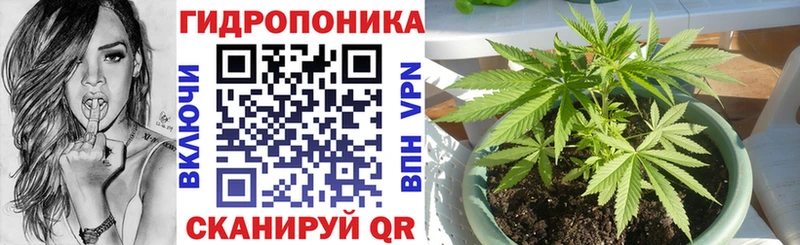 кракен зеркало  Андреаполь  Канабис VHQ 